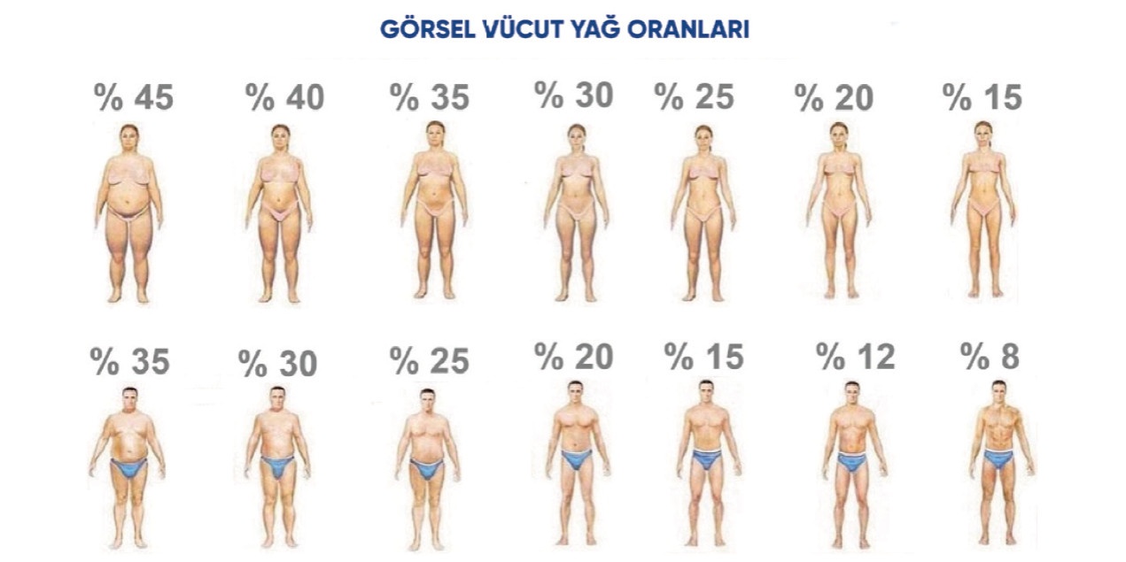 fat mass что это